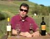 Benziger Family Winery Review